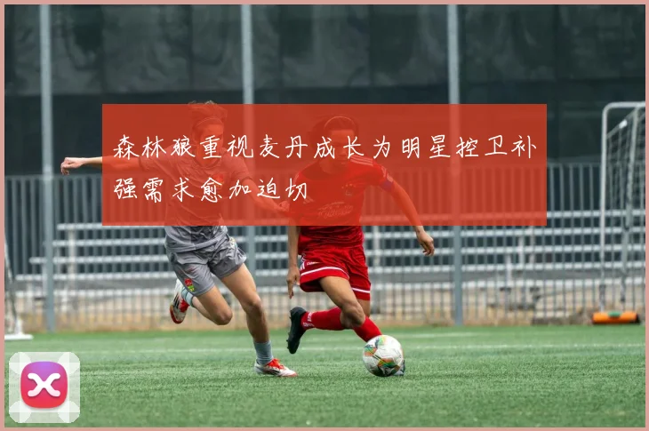 森林狼重视麦丹成长为明星控卫补强需求愈加迫切